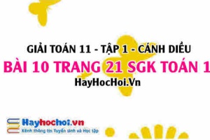 Giải bài 10 trang 21 Toán 11 tập 1 SGK Cánh Diều